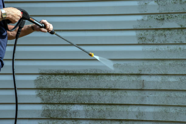 Best Graffiti Removal Services in Ricardo, TX